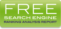 Free SEO Ranking Report